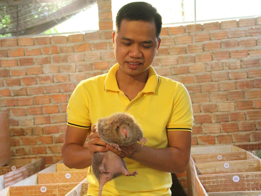 Anh Hùng