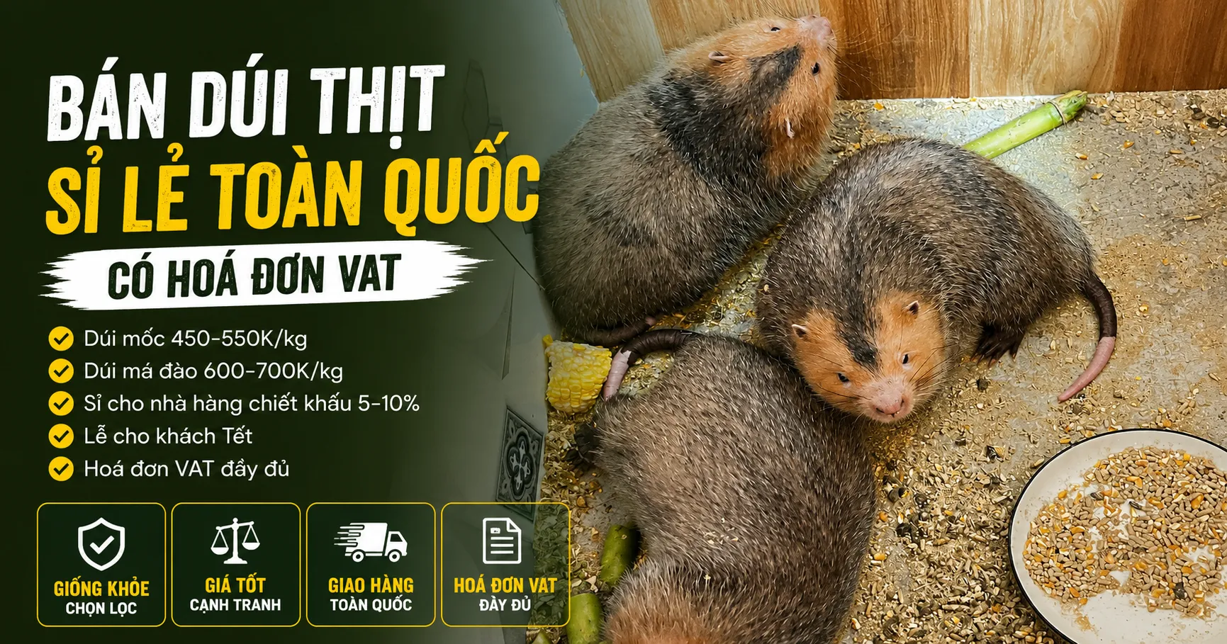 Bán Dúi Thịt 2026 — Sỉ Lẻ Toàn Quốc Có Hoá Đơn VAT