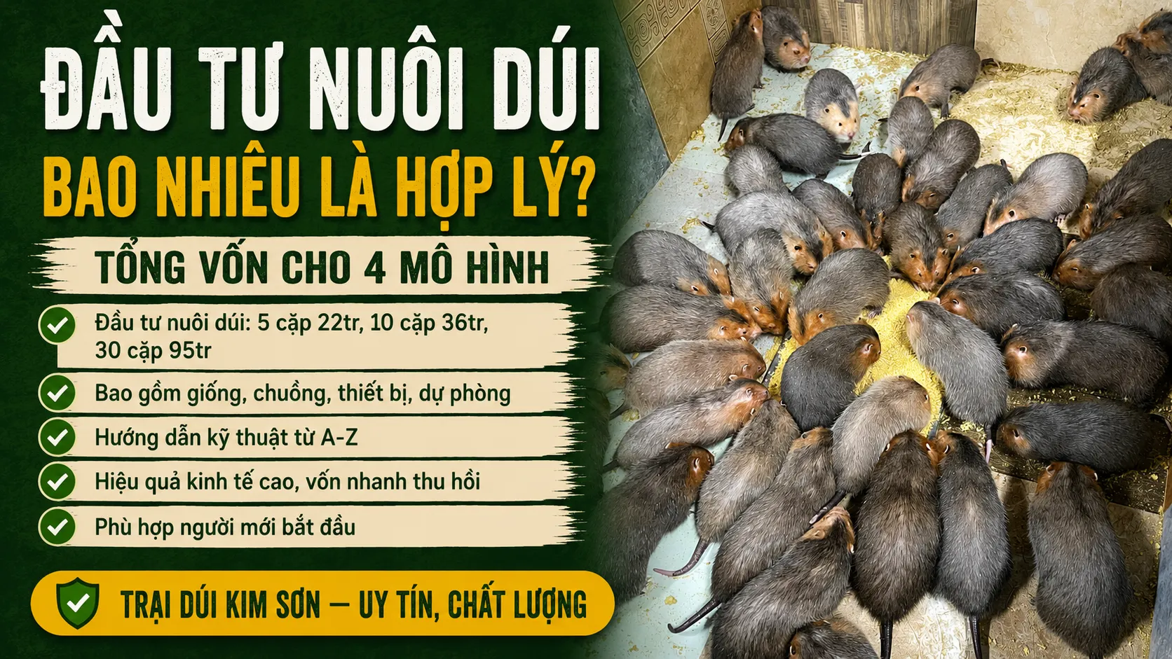 Đầu Tư Nuôi Dúi Bao Nhiêu? — Tổng Vốn Cho 4 Mô Hình