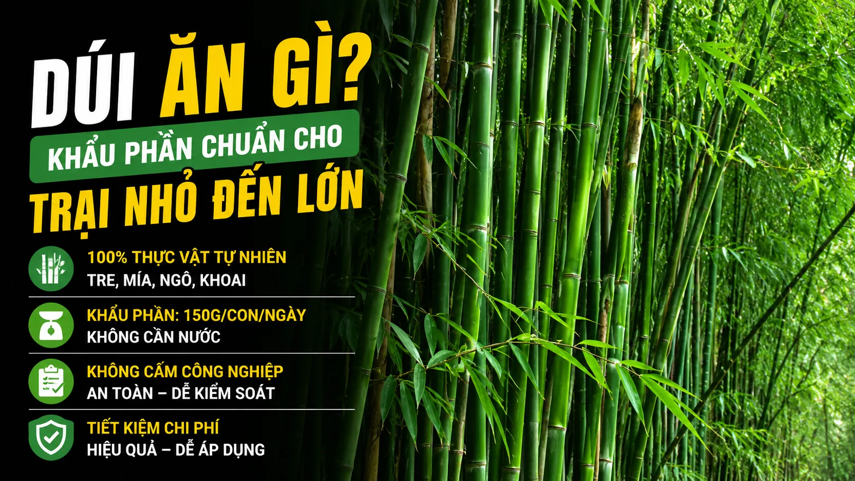Dúi Ăn Gì? — Khẩu Phần Chuẩn 2026 Cho Trại Nhỏ Đến Lớn