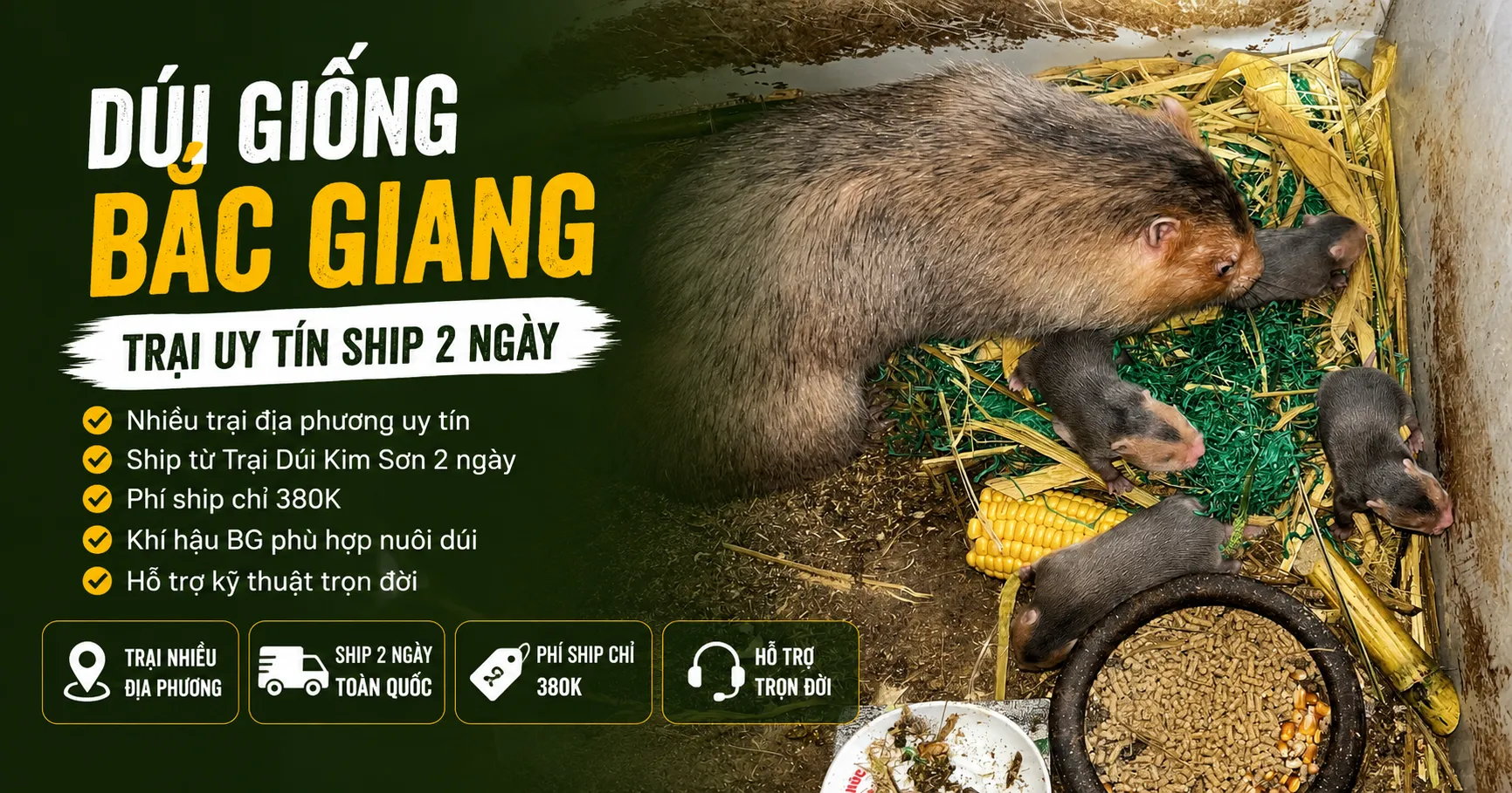 Dúi Giống Bắc Giang 2026 — Trại Uy Tín Ship 2 Ngày