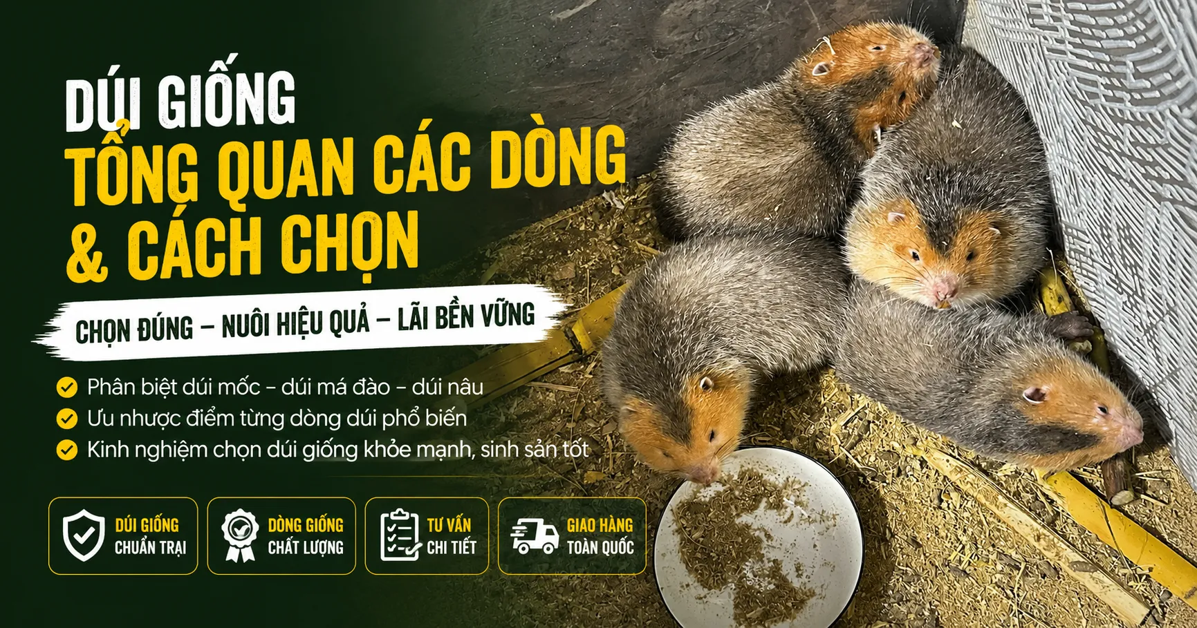Dúi Giống — Tổng Quan Các Dòng & Cách Chọn 2026