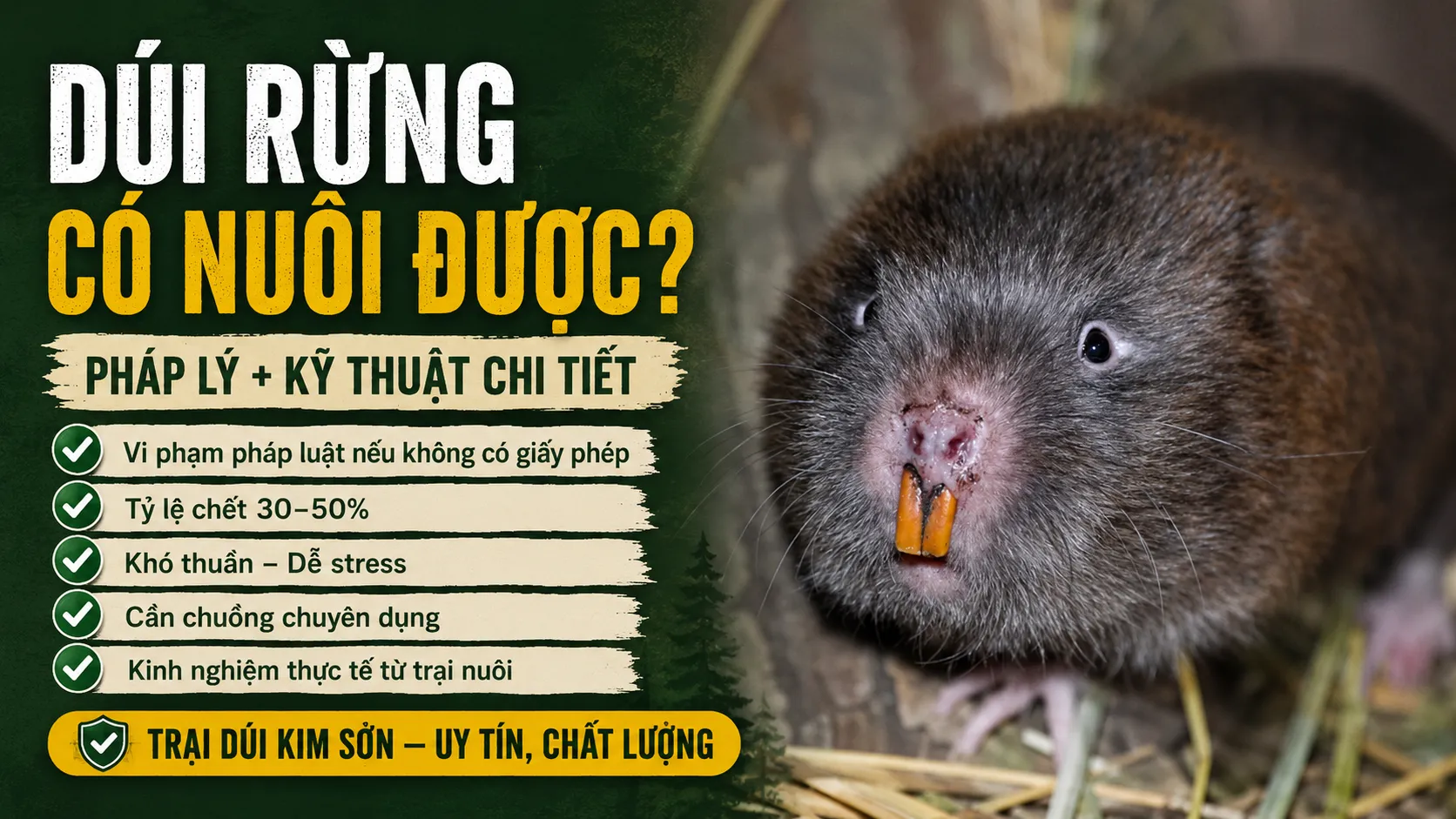 Dúi Rừng Có Nuôi Được Không? — Pháp Lý + Kỹ Thuật