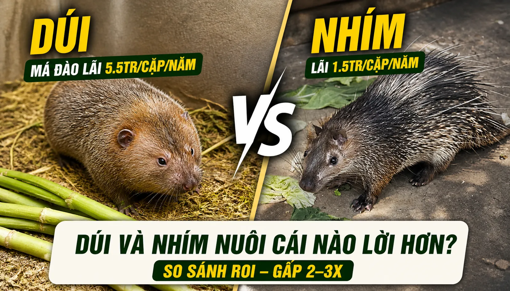 Dúi và Nhím Nuôi Cái Nào Lời Hơn? — So Sánh ROI 2026