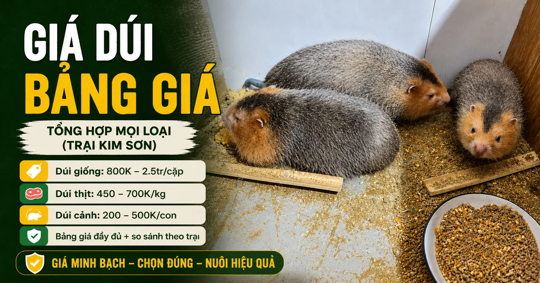 Giá Dúi 2026 — Bảng Giá Tổng Hợp Mọi Loại (Trại Kim Sơn)