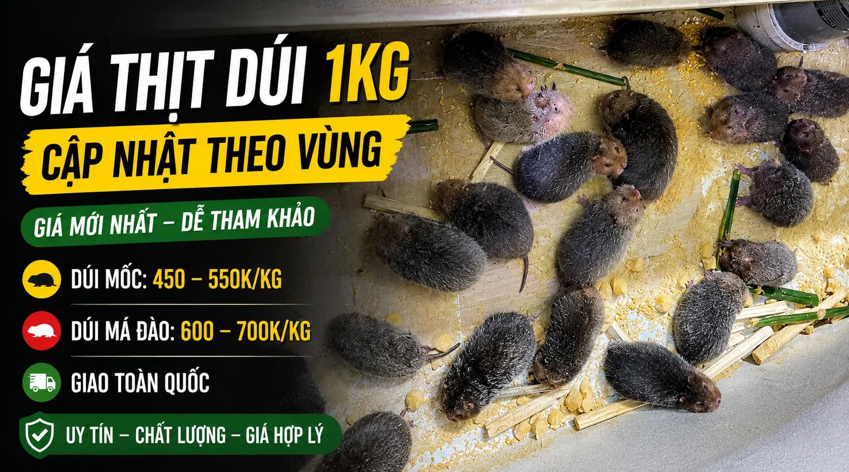 Giá Thịt Dúi 1kg 2026 — Cập Nhật Mới Nhất Theo Vùng