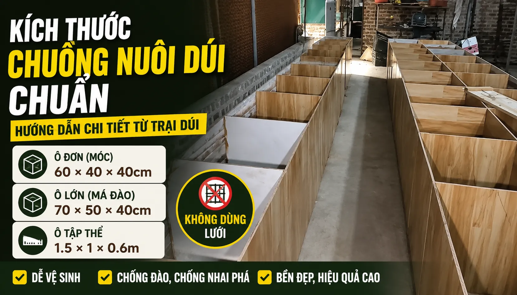 Kích Thước Chuồng Nuôi Dúi Chuẩn 2026