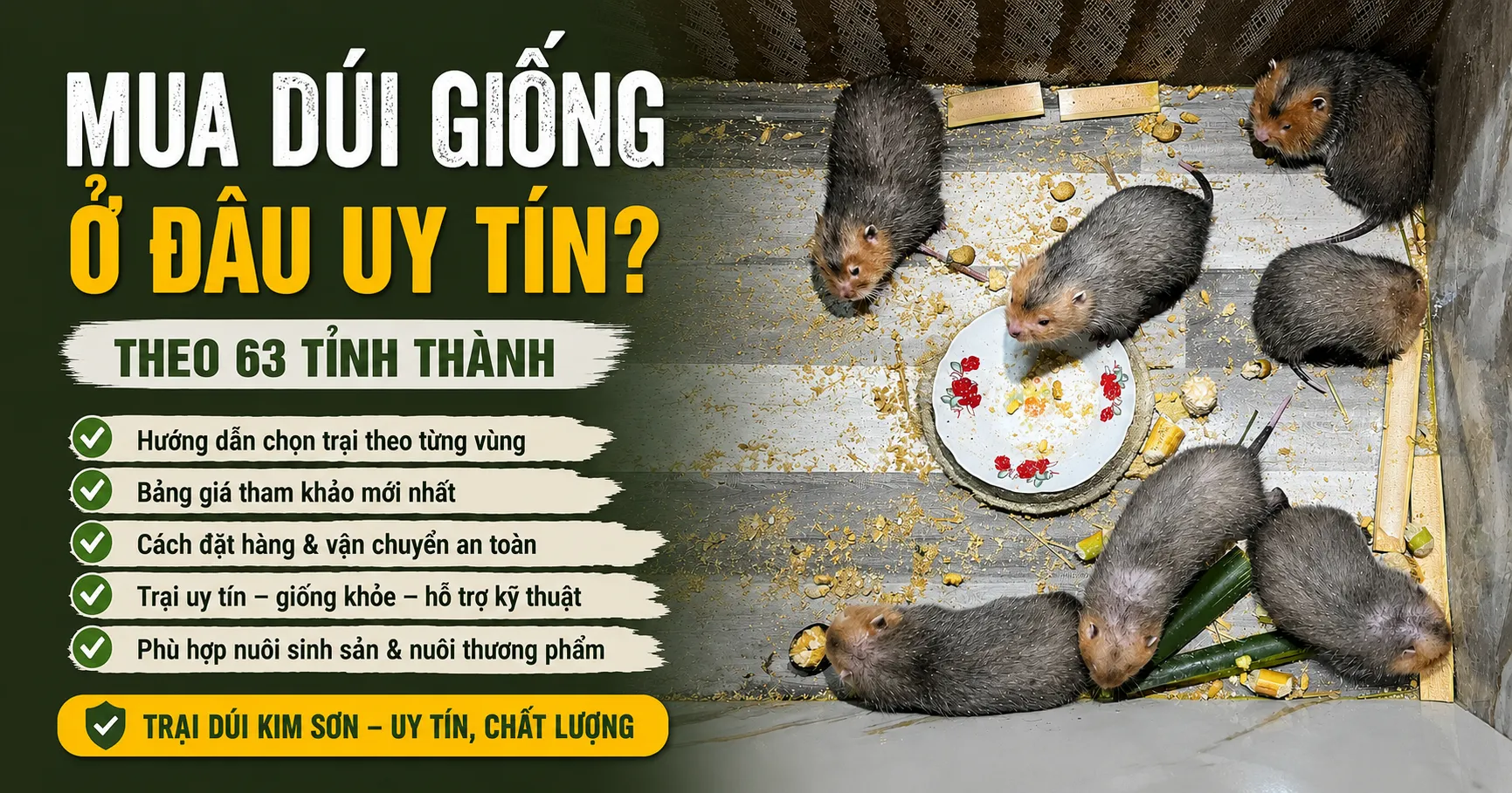 Mua Dúi Giống Ở Đâu Uy Tín 2026? — Theo 63 Tỉnh Thành
