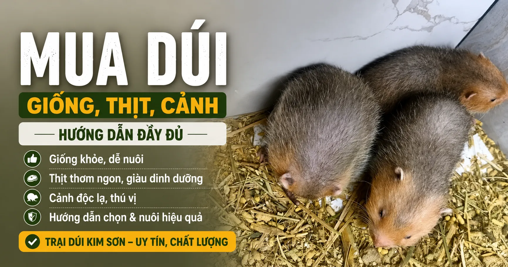 Mua Dúi 2026 — Giống, Thịt, Cảnh: Hướng Dẫn Đầy Đủ