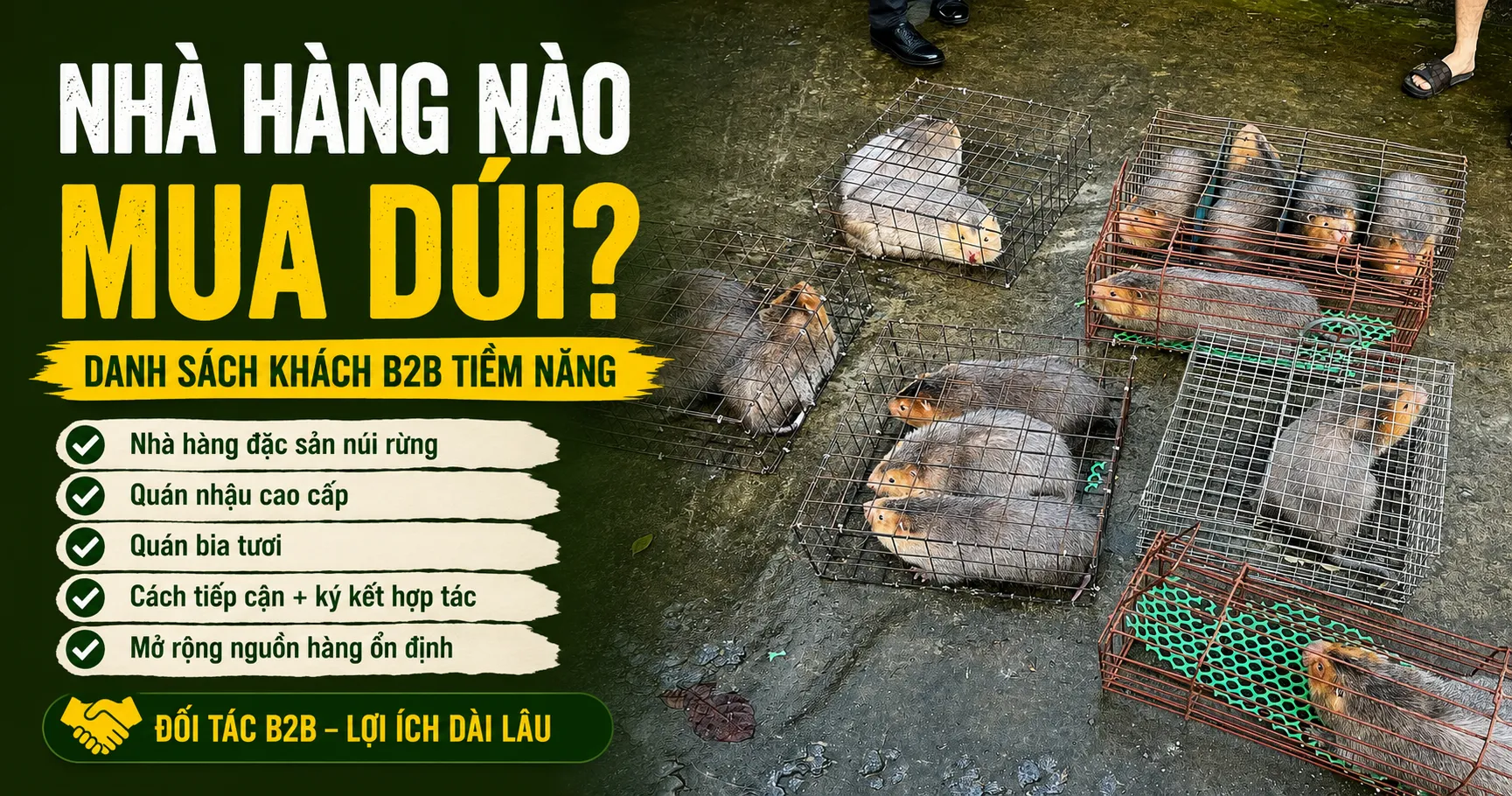 Nhà Hàng Nào Mua Dúi? — Danh Sách Khách B2B Tiềm Năng