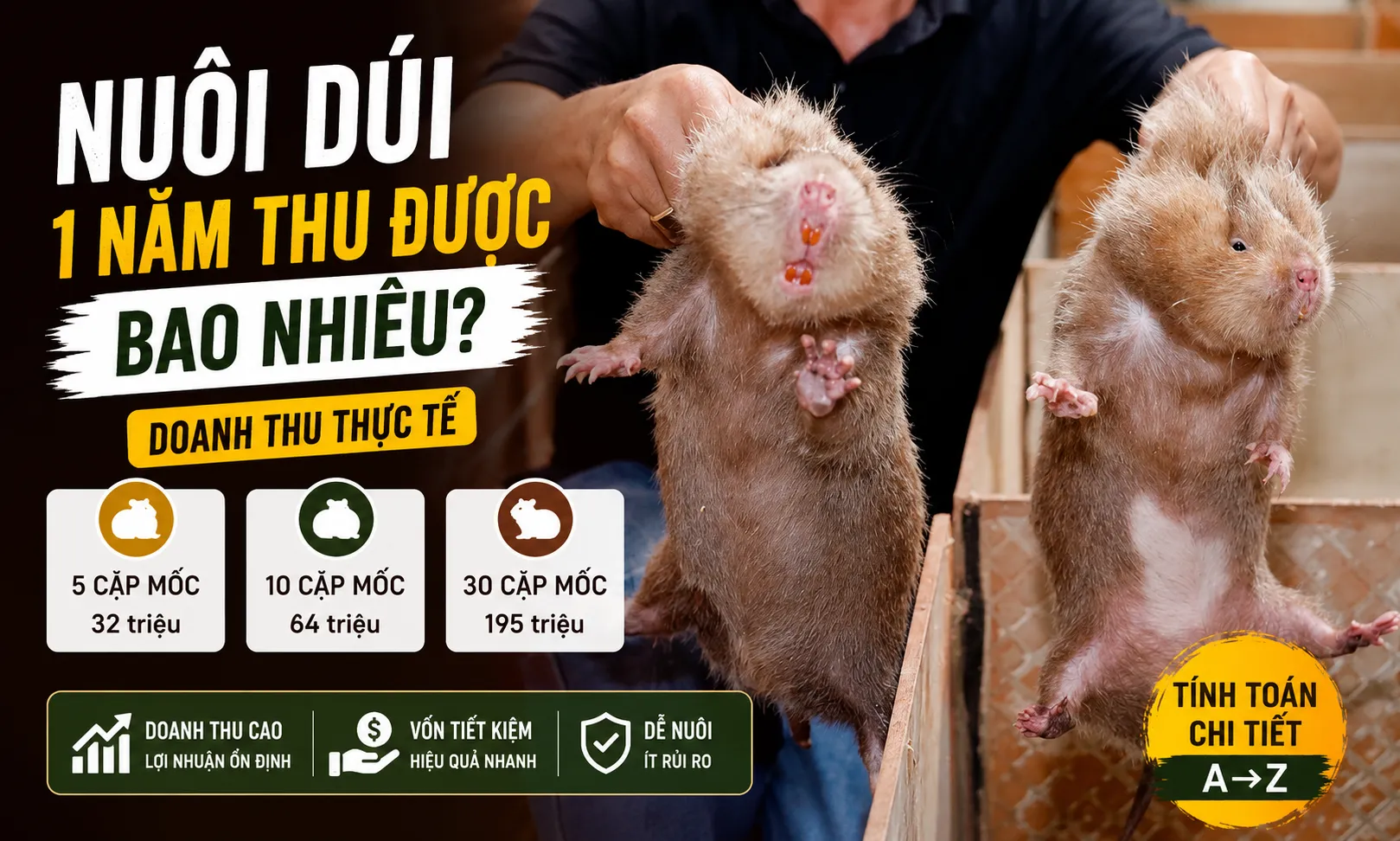 Nuôi Dúi 1 Năm Thu Được Bao Nhiêu? — Doanh Thu Thực Tế