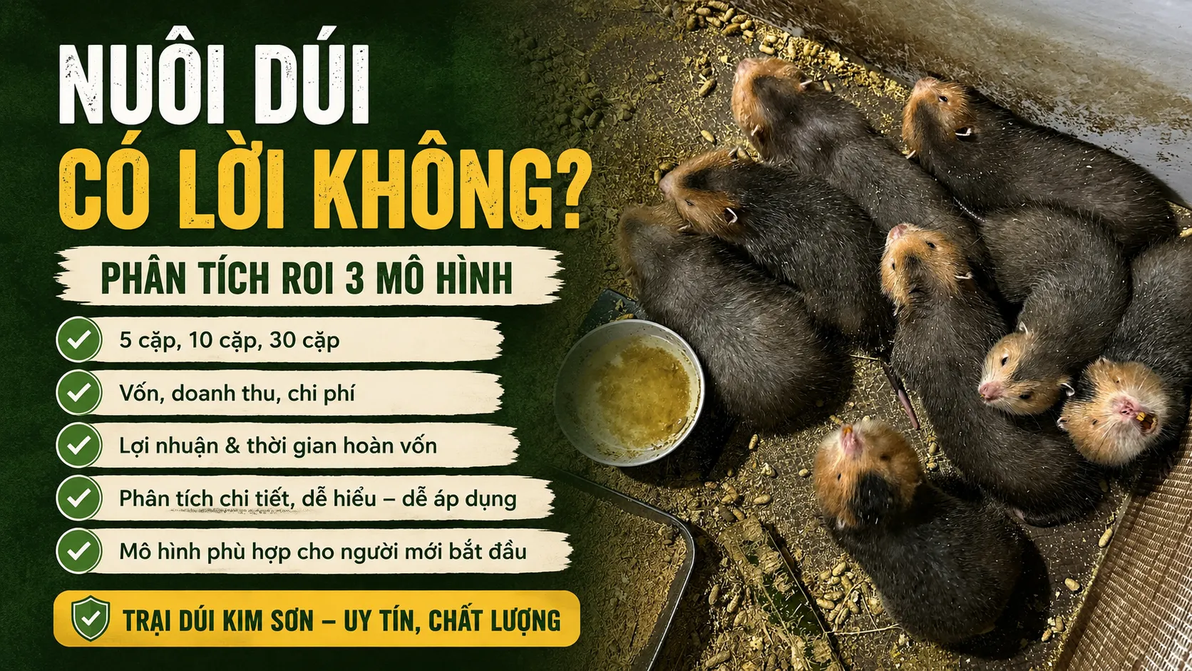 Nuôi Dúi Có Lời Không? — Phân Tích ROI 3 Mô Hình 2026