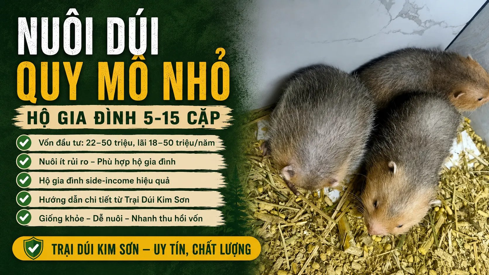 Nuôi Dúi Quy Mô Nhỏ — Hộ Gia Đình 5-15 Cặp
