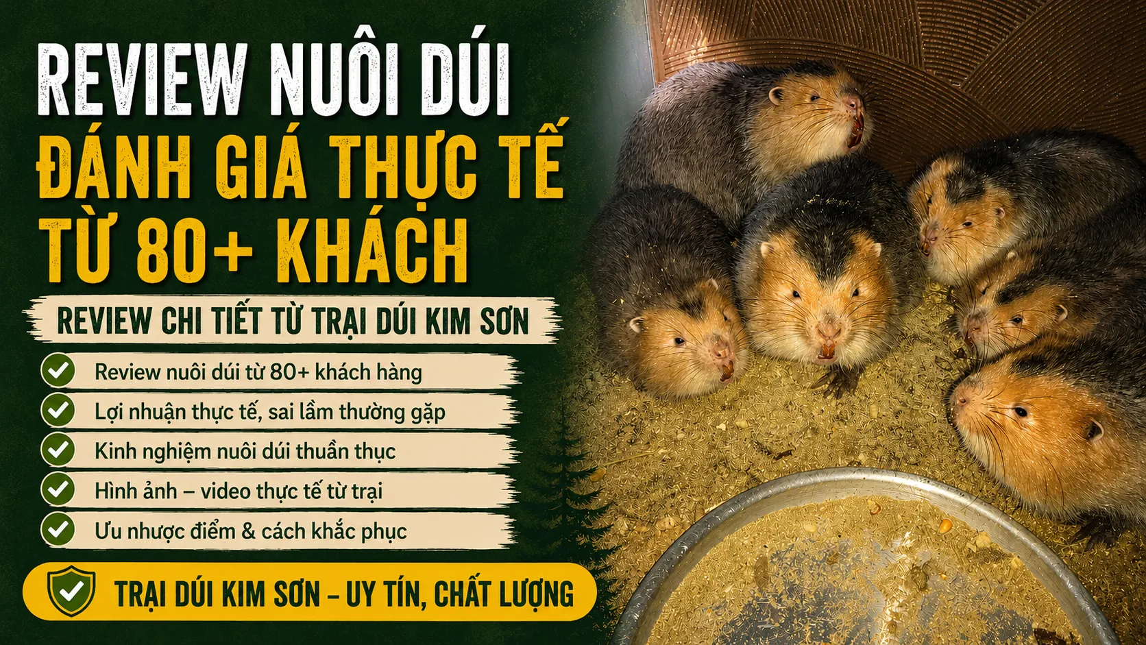 Review Nuôi Dúi 2026 — Đánh Giá Thực Tế Từ 80+ Khách