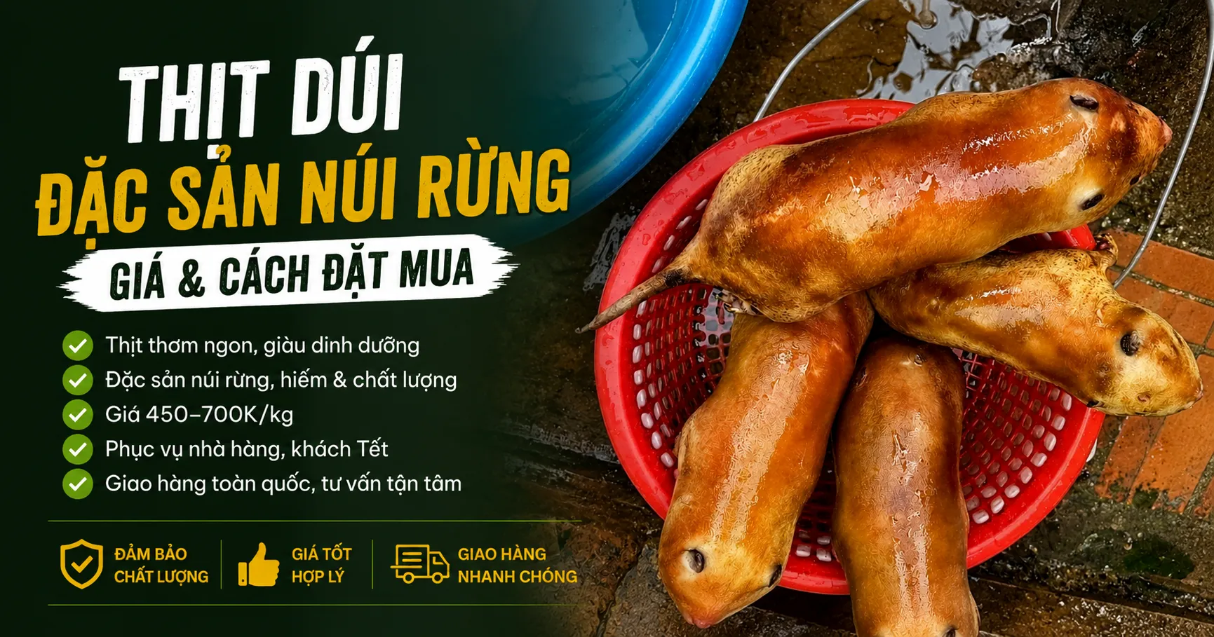 Thịt Dúi — Đặc Sản Núi Rừng, Giá & Cách Đặt Mua 2026