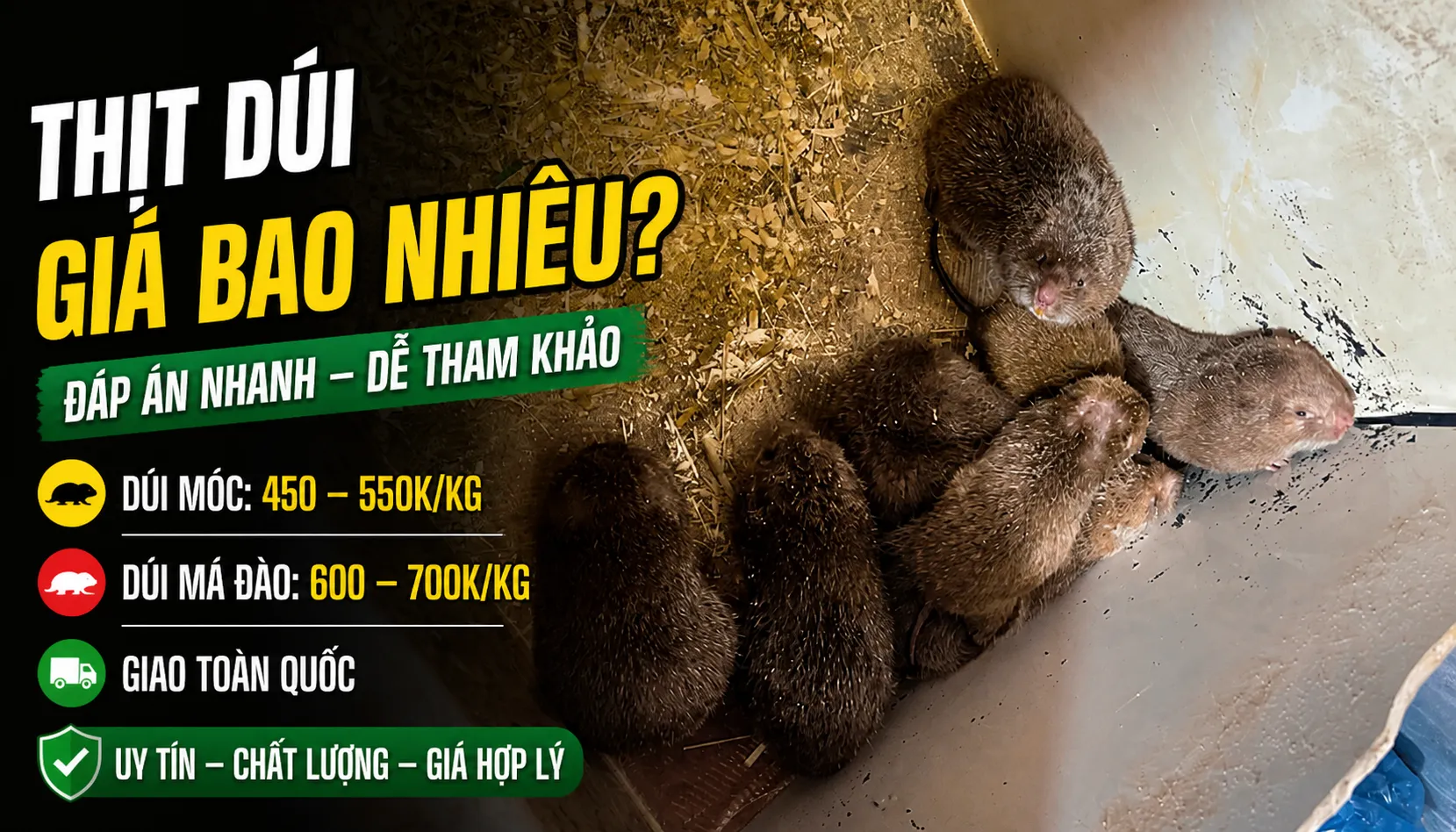 Thịt Dúi Giá Bao Nhiêu 2026? — 450K–700K/kg