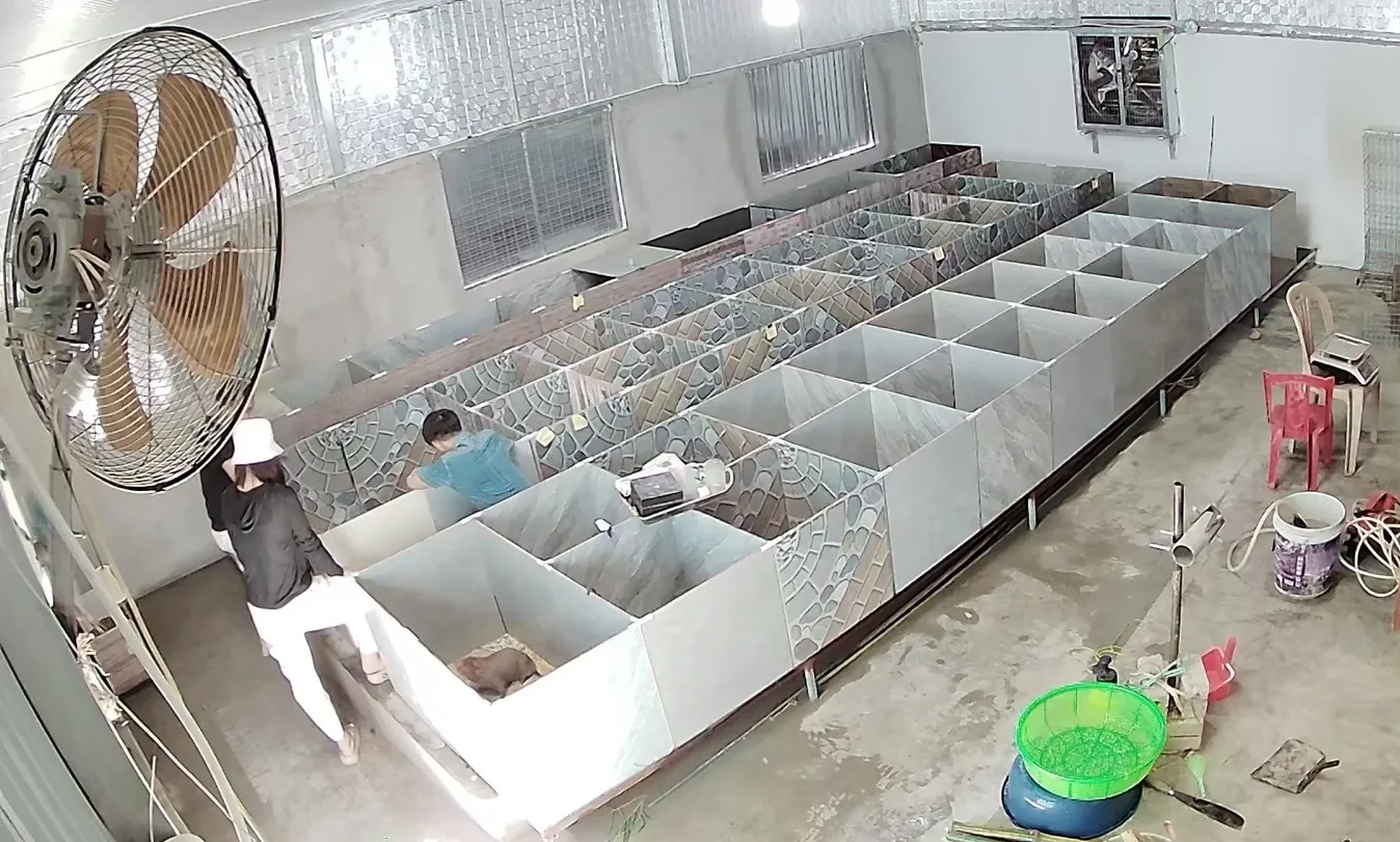 Hệ thống chuồng trại