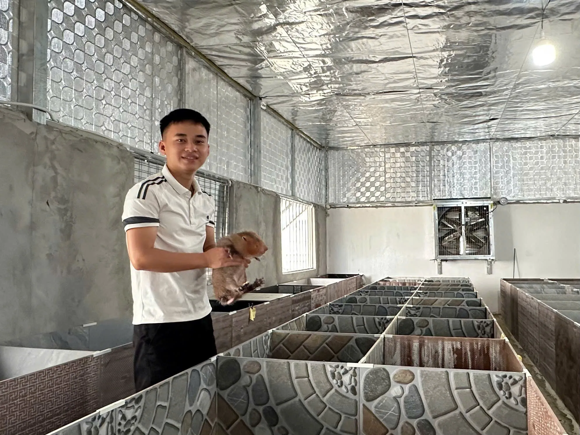 Hệ thống chuồng nuôi dúi hiện đại